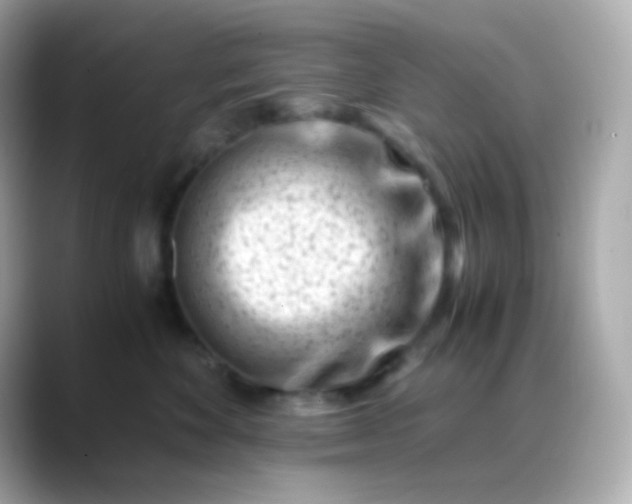 X0000088460524200706051326