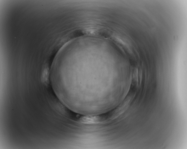 X0000088460526200706051326