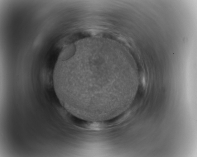 X0000088460527200706051326