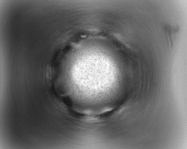 X0000088460528200706051326