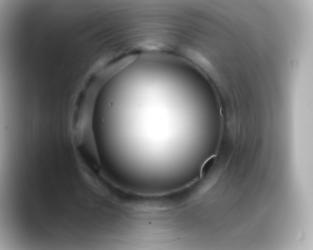 X0000088460530200706051326