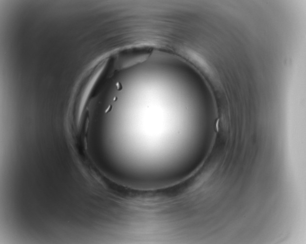 X0000088460532200706051326