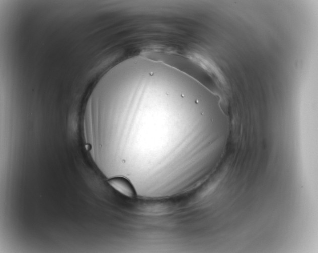 X0000088460533200706051326