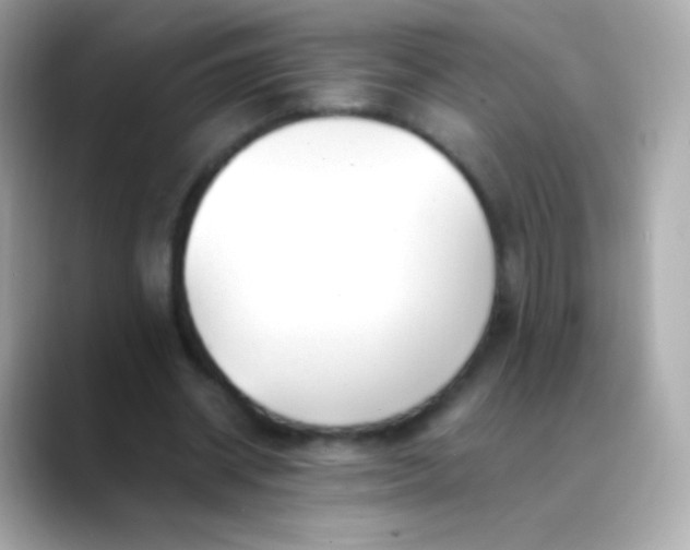 X0000088460534200706051326