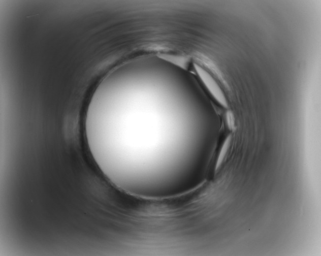 X0000088460535200706051326