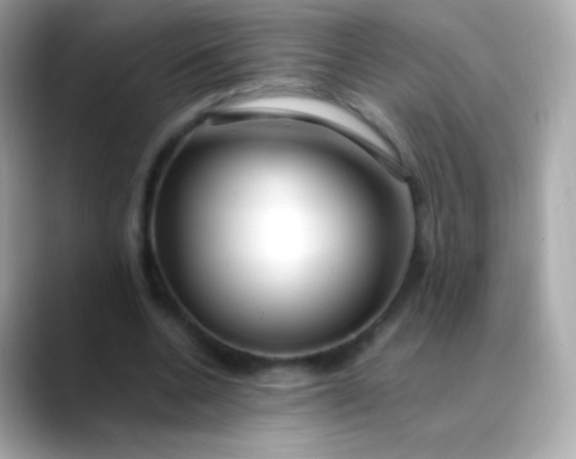 X0000088460536200706051326