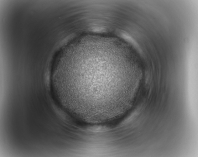 X0000088460542200706051326