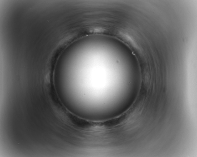 X0000088460543200706051326