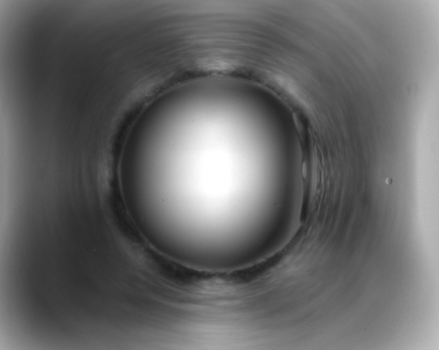 X0000088460544200706051326