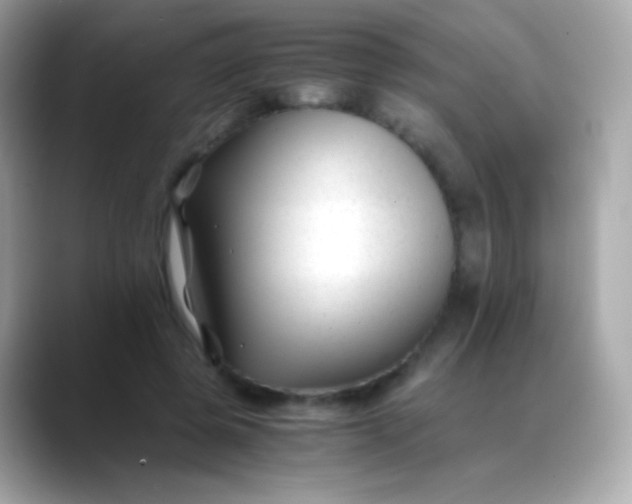 X0000088460545200706051326