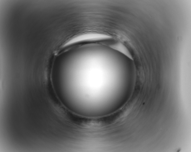 X0000088460546200706051326