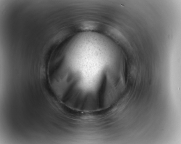 X0000088460547200706051326