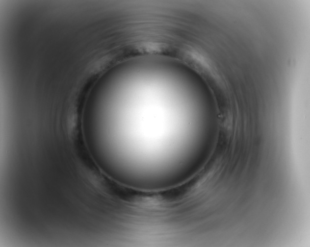 X0000088460548200706051326