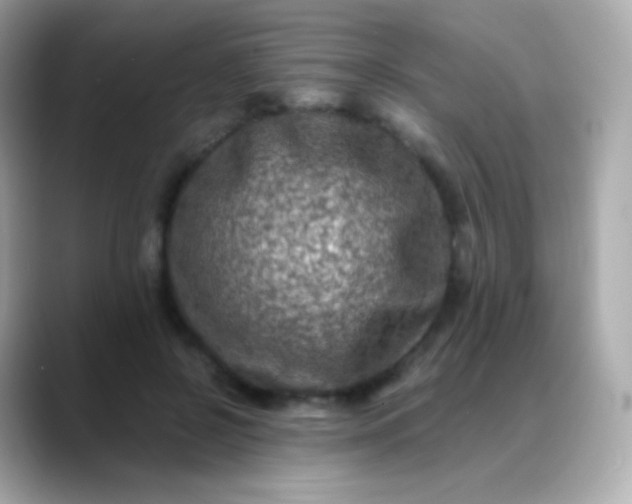 X0000088460550200706051326