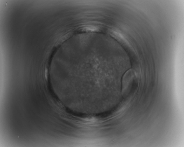 X0000088460551200706051326