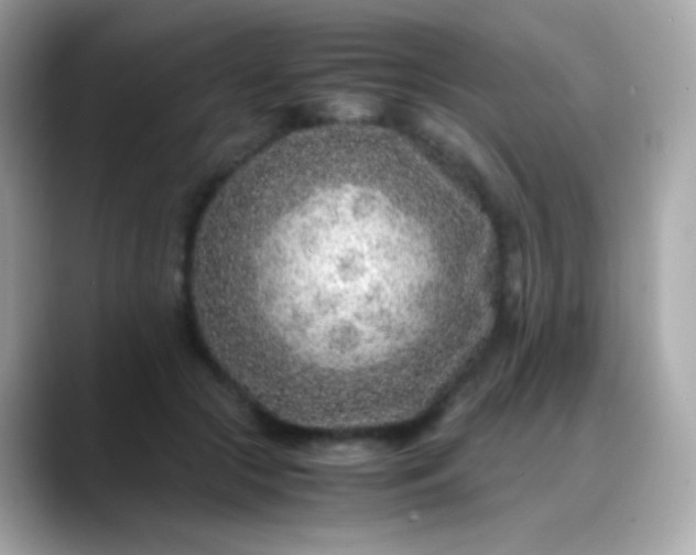 X0000088460553200706051326