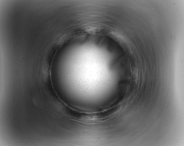 X0000088460554200706051326