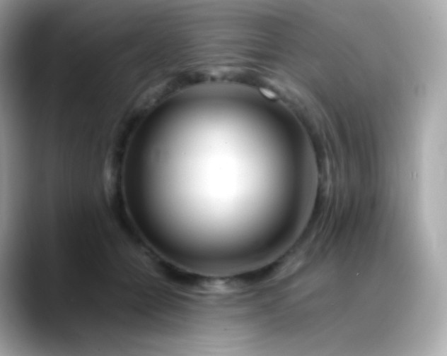 X0000088460558200706051326