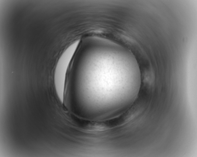 X0000088460559200706051326