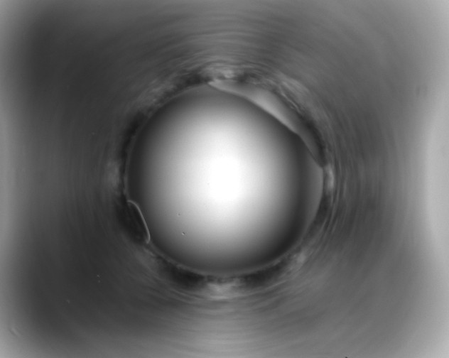 X0000088460560200706051326