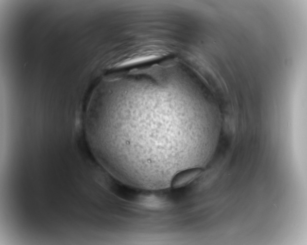 X0000088460561200706051326