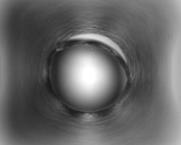 X0000088460566200706051326