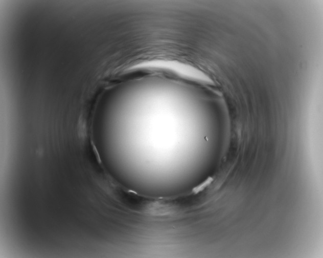 X0000088460568200706051326