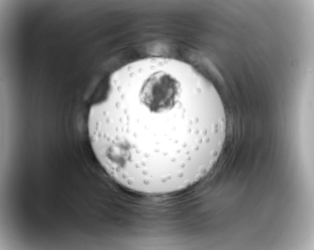 X0000088460569200706051326