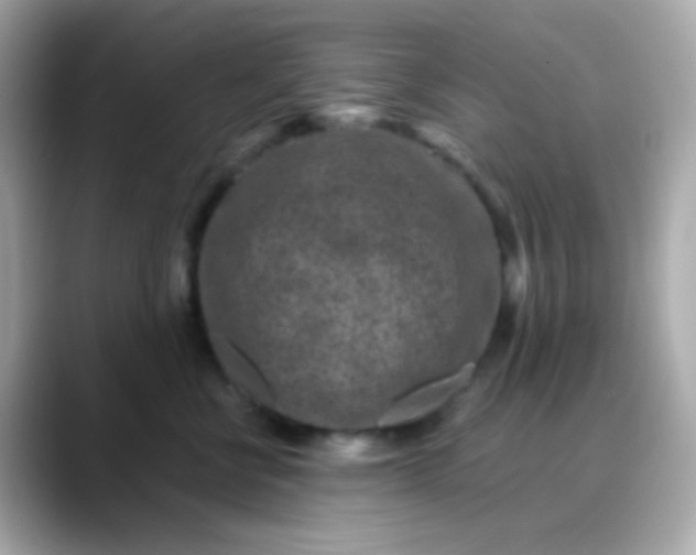 X0000088460570200706051326