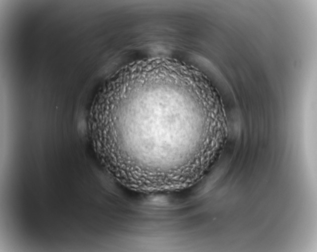 X0000088460573200706051326