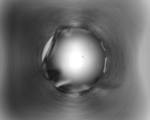 X0000088460576200706051326