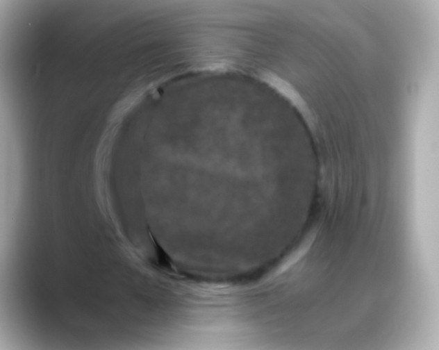 X0000088460577200706051326