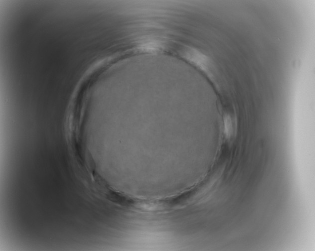 X0000088460579200706051326