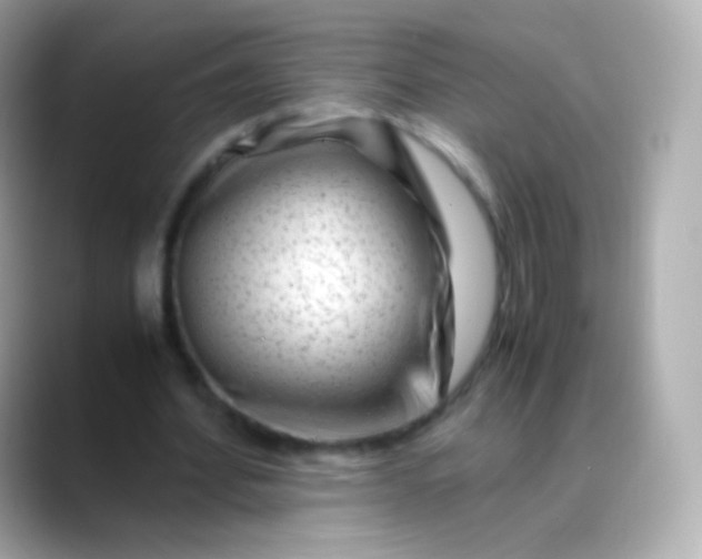 X0000088460580200706051326