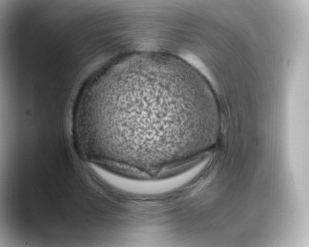 X0000088460581200706051326