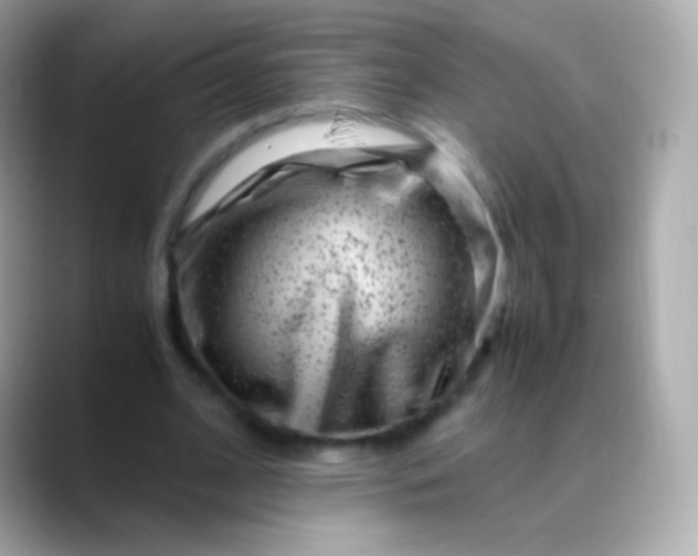 X0000088460584200706051326