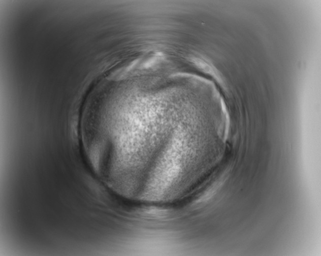 X0000088460585200706051326