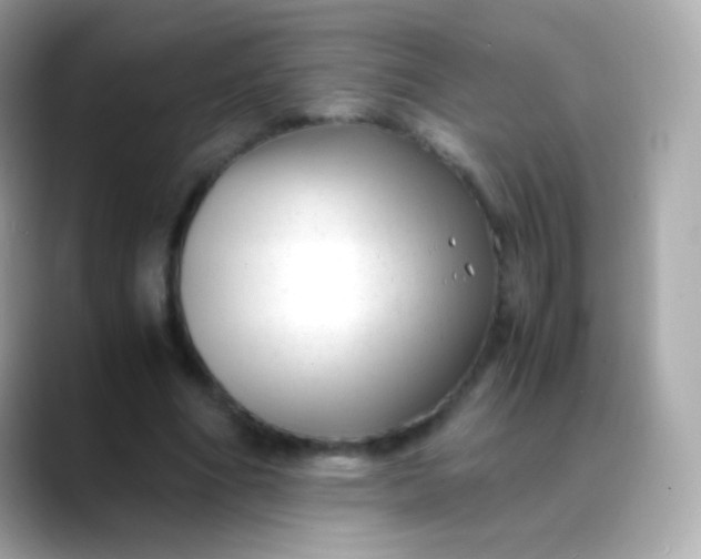 X0000088460586200706051326