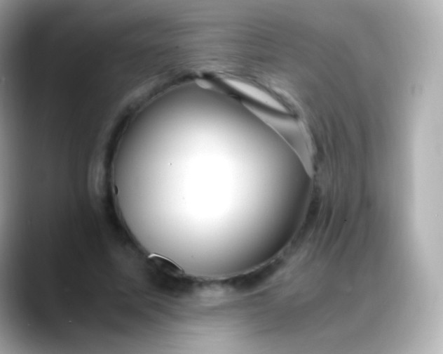 X0000088460587200706051326