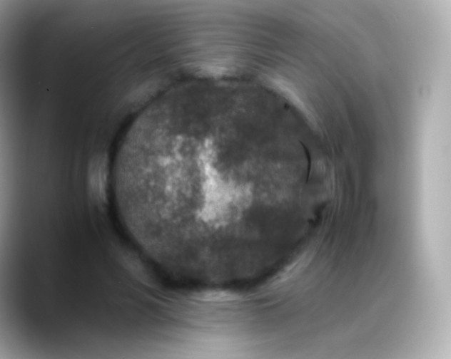 X0000088460590200706051326