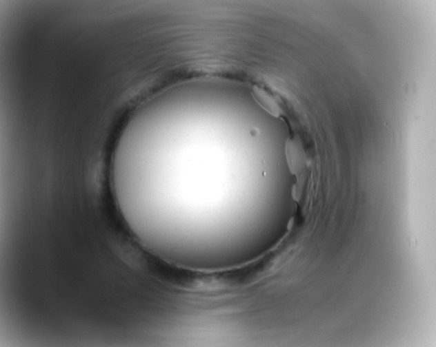 X0000088460591200706051326