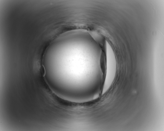 X0000088460593200706051326