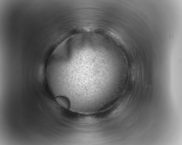 X0000088460594200706051326