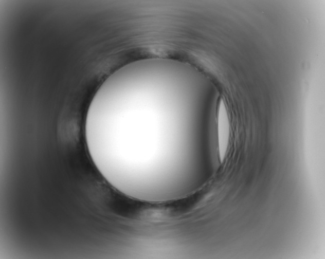 X0000088460595200706051326