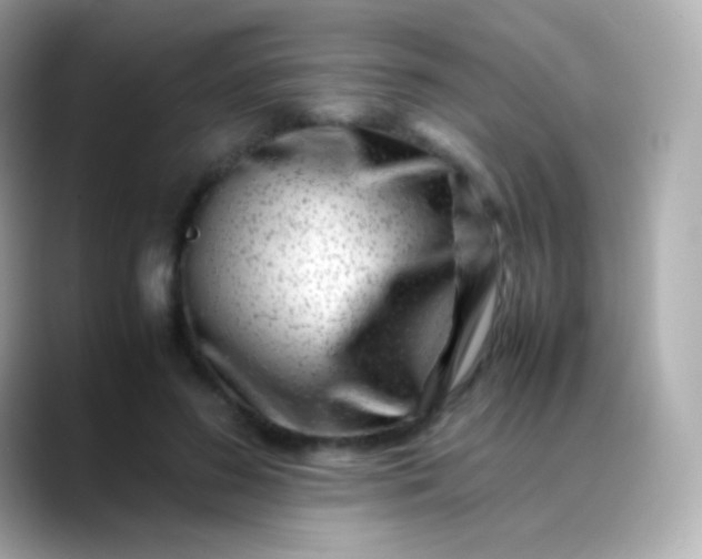 X0000088460596200706051325