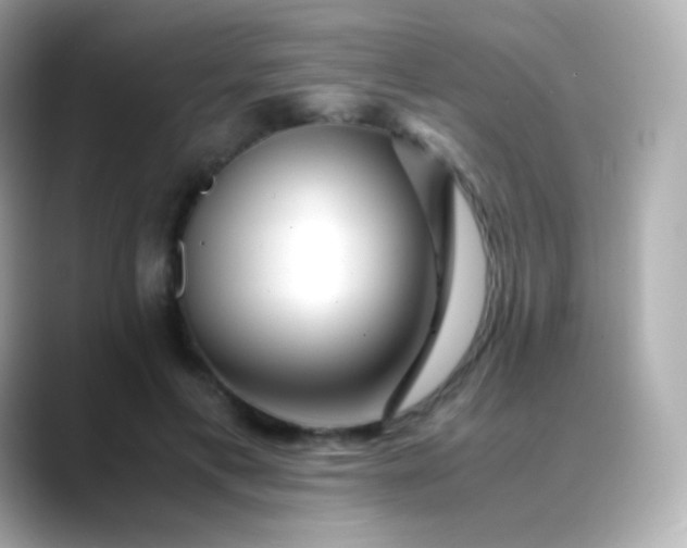 X0000088460597200706051325