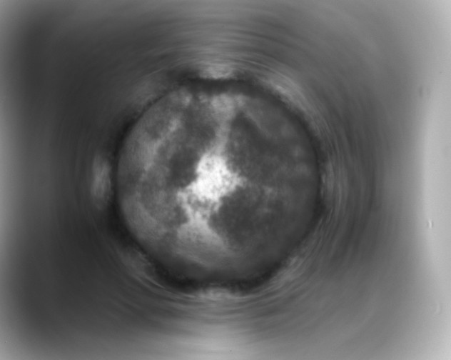 X0000088460598200706051325