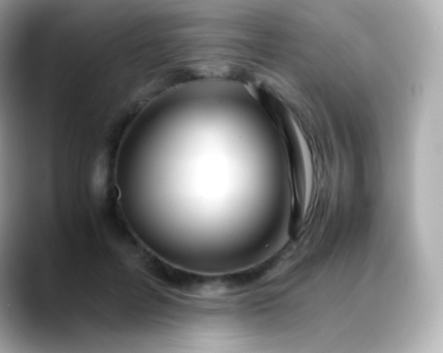 X0000088460600200706051325