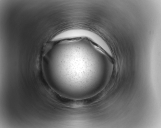 X0000088460604200706051325