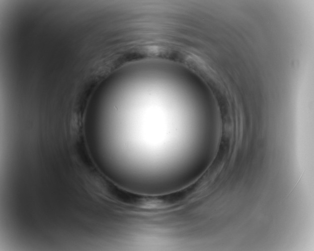 X0000088460605200706051325